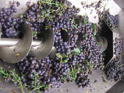 Agricoltura Agricoltura