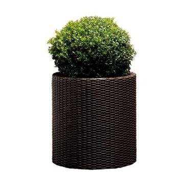 Fioriera KETER CYLINDER PLANTER L 44x43x43 Vaso Interno - Esterno