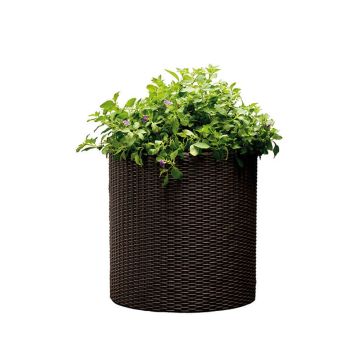 Fioriera KETER CYLINDER PLANTER M 35x35x37 Vaso Interno - Esterno